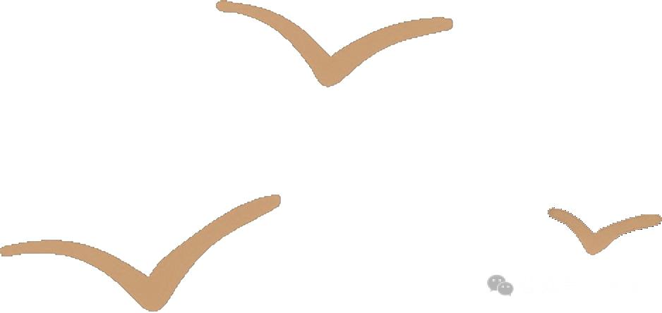undefined 6.25-1.jpg